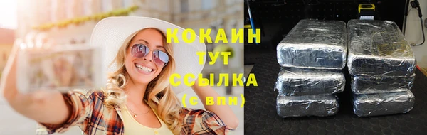 прущий лед Абаза