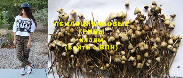 прущий лед Абаза