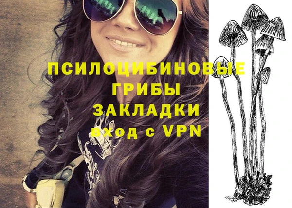 прущий лед Абаза