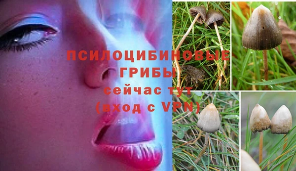 марки nbome Абдулино