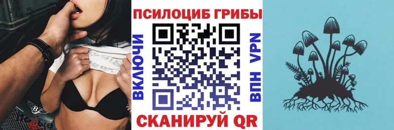 Псилоцибиновые грибы Psilocybine cubensis  omg как зайти  Камышлов 
